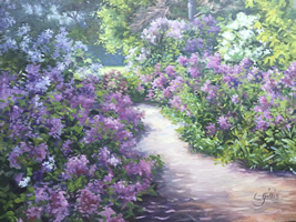 Minnesota Lilacs'