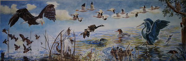 Minnesota Birds Mural